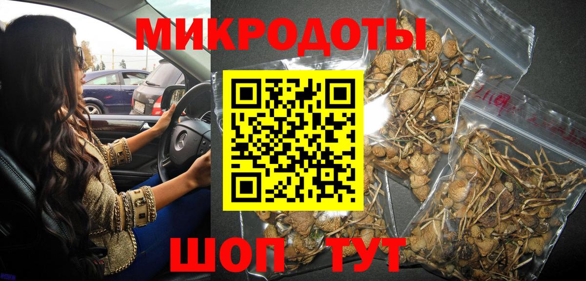 Галлюциногенные грибы Psilocybine cubensis  Вход с VPN  Галлюциногенные грибы GOLDEN TEACHER  купить  сайты  Армавир 