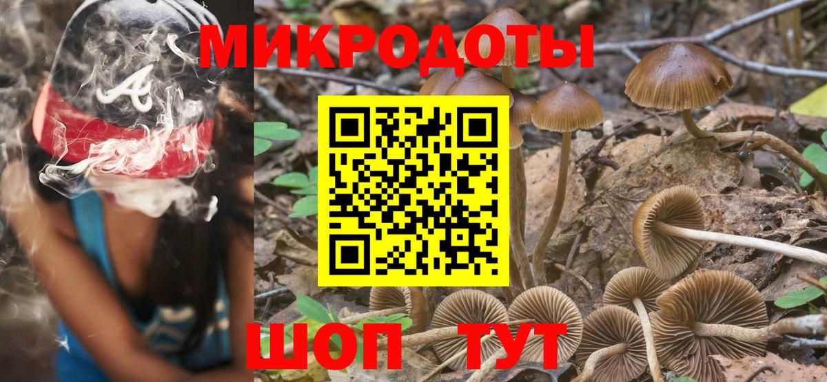 Галлюциногенные грибы GOLDEN TEACHER Армавир